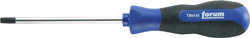 Wkretak TORX T 10x 80mm FORUM